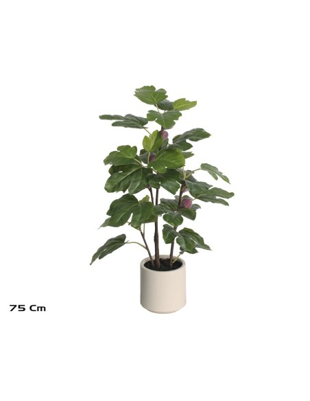 MACETA BLANCA LUX  HIGUERA 75 CM