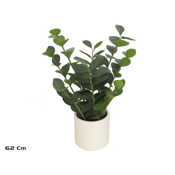 MACETA BLANCA LUX  ZAMIIFOLIA  62 CM