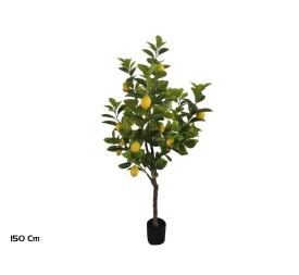 ARBOL LIMONERO X 18F - 150 CM