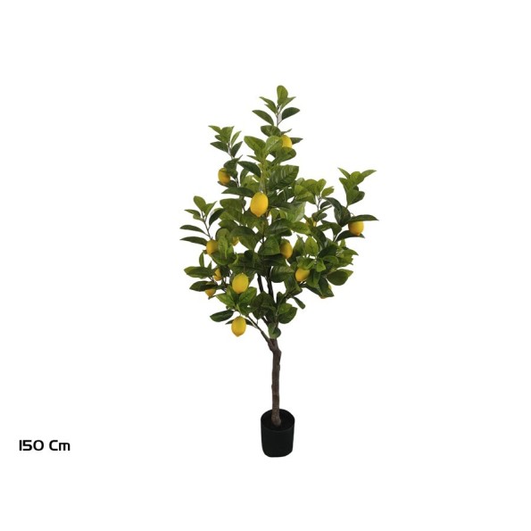 ARBOL LIMONERO X 18F - 150 CM