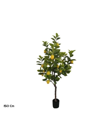 ARBOL LIMONERO X 18F - 150 CM