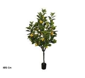 ARBOL LIMONERO X 26F - 185 CM