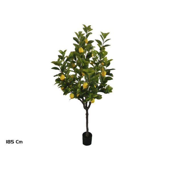 ARBOL LIMONERO X 26F - 185 CM