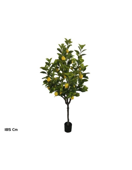 ARBOL LIMONERO X 26F - 185 CM