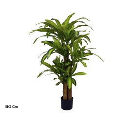 ARBOL DRACENA X 3 130 CM
