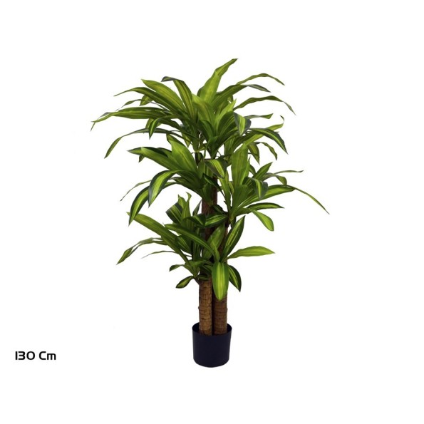 ARBOL DRACENA X 3 130 CM