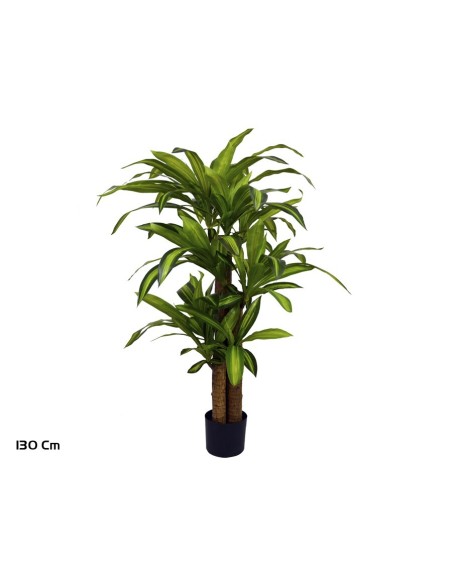 ARBOL DRACENA X 3 130 CM