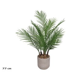 MACETA CEMENTO- ARECA PALM X 13 - 77 CM