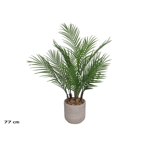 MACETA CEMENTO- ARECA PALM X 13 - 77 CM