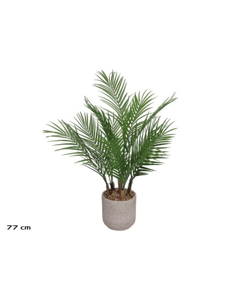 MACETA CEMENTO- ARECA PALM X 13 - 77 CM