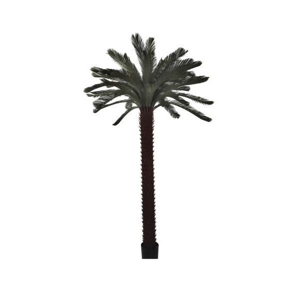 PLANTA PE 180X180X300 PALMERA VERDE