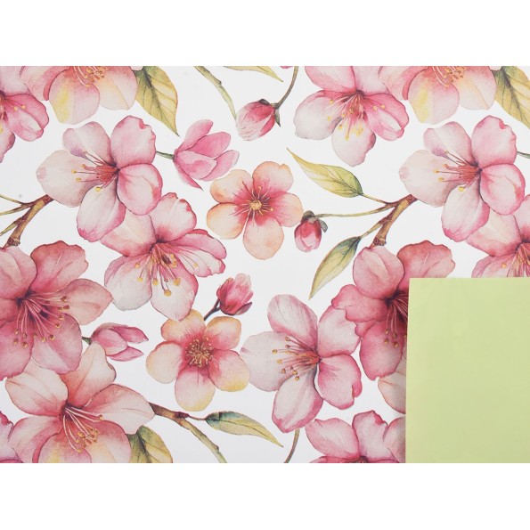 BOBINA MOMO 0,7X40M BLANCO  VERDE