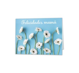 MINI CARD GERBERAS Felicidades Mamá