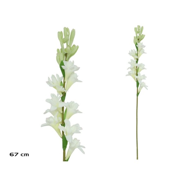 VARA NARDO  - 67 CM (BLANCO)