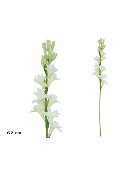 VARA NARDO  - 67 CM (BLANCO)