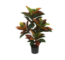 MACETA CROTON - 77 CM
