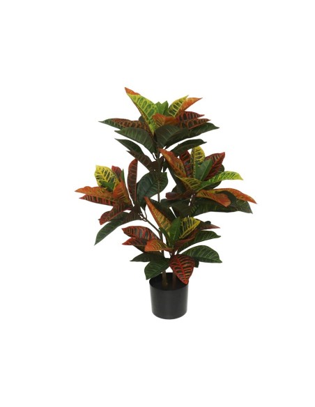MACETA CROTON - 77 CM
