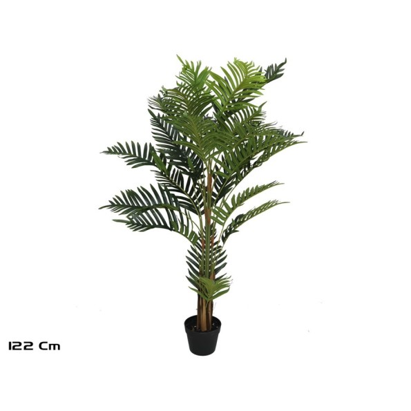 PLANTA PALMERA ARECA  X 24 - 122 CM