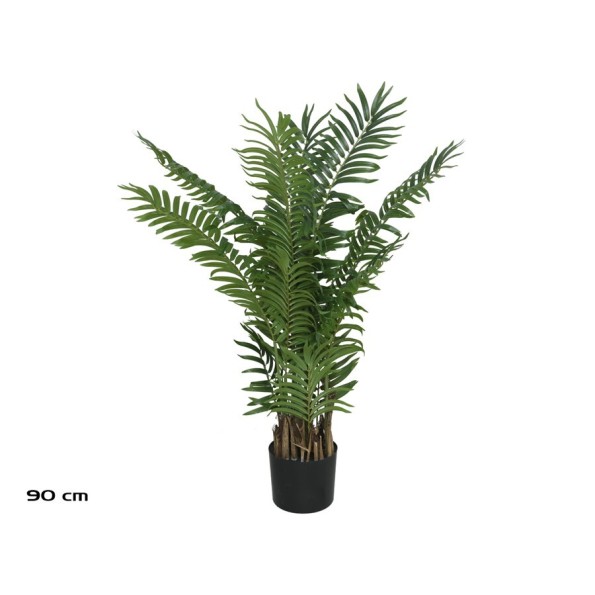 PLANTA PALMA ARECA X 15 - 90 CM