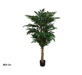 ARBOL MANGO T/N 183 CM