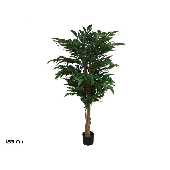 ARBOL MANGO T/N 183 CM