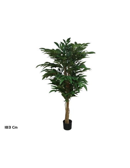ARBOL MANGO T/N 183 CM