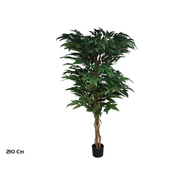 ARBOL MANGO T/N 210 CM
