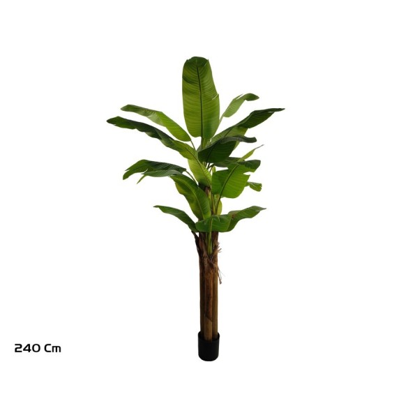 PLANTA PLATANERO LVS R/T 240 CM