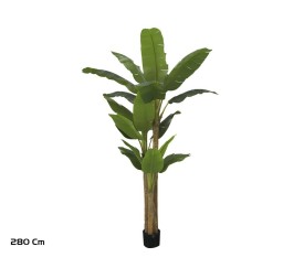 PLANTA PLATANERO LVS R/T 280 CM