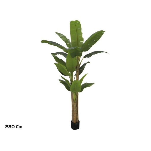 PLANTA PLATANERO LVS R/T 280 CM