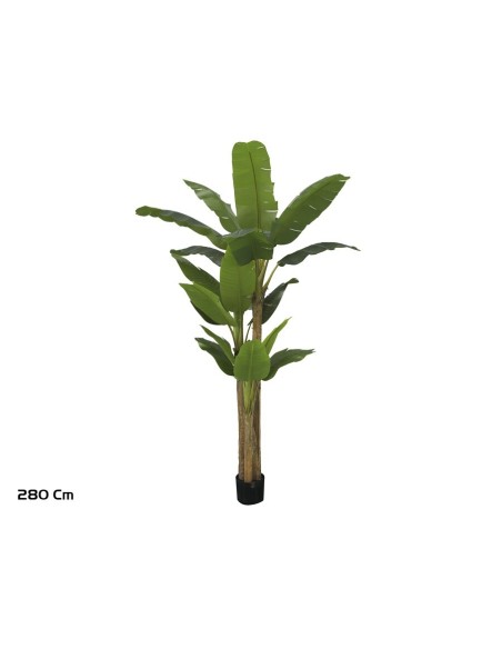 PLANTA PLATANERO LVS R/T 280 CM