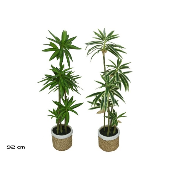 MACETA CERAMICA DRACAENA - 92 CM (S)