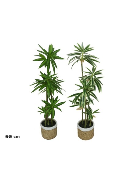 MACETA CERAMICA DRACAENA - 92 CM (S)