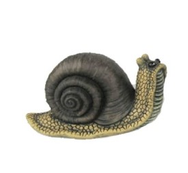 FIGURA CARACOL M