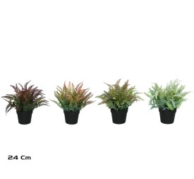 MACETA HELECHOS - 24 CM (S)