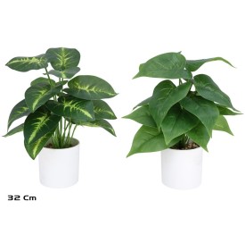 MACETA BLANCA  POTUS X 18 - 32 CM (S)