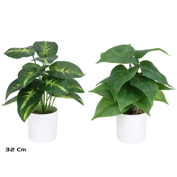 MACETA BLANCA  POTUS X 18 - 32 CM (S)