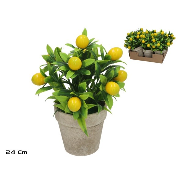 MACETA HUERTANICA LIMON 24CM 3 SURT.
