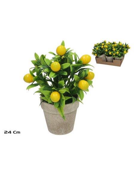 MACETA HUERTANICA LIMON 24CM 3 SURT.