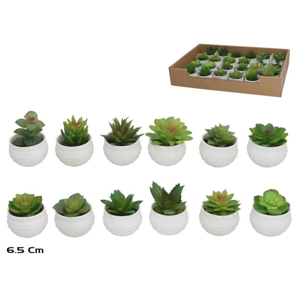MACETA SUCULENTA 6,5CM 12 SURT.