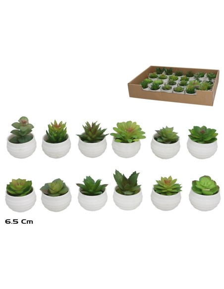 MACETA SUCULENTA 6,5CM 12 SURT.