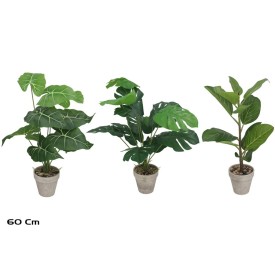 MACETA MONSTERA/CAL/FICUS 60CM 3 SURT.