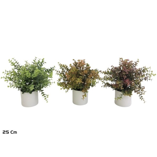 MACETA EUCALIPTO C/FLOR - 25 CM (S)