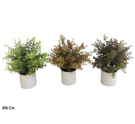 MACETA EUCALIPTO - 26 CM (S)