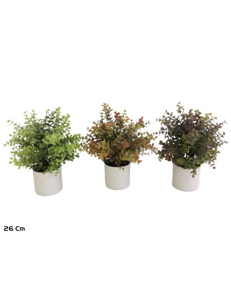 MACETA EUCALIPTO - 26 CM (S)