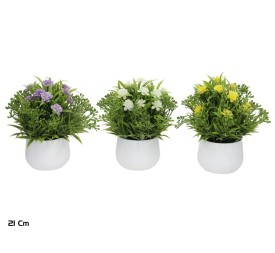 MACETA CAMELIA GRASS - 21 CM (S)