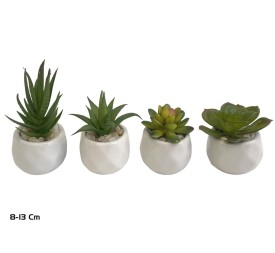 MACETA C- SUCULENTAS - 8 -13 CM (S)