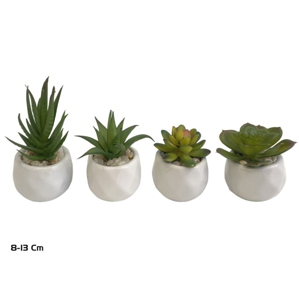 MACETA C- SUCULENTAS - 8 -13 CM (S)
