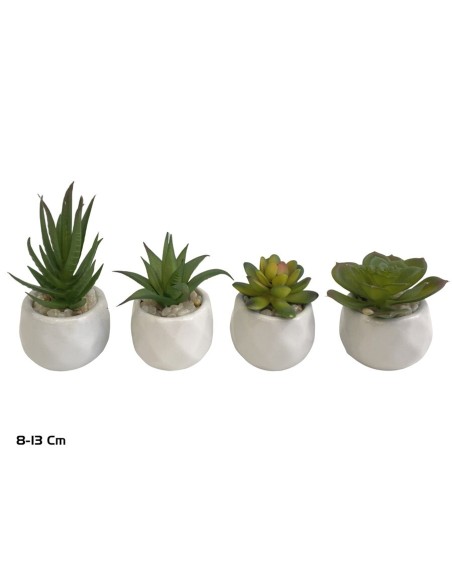 MACETA C- SUCULENTAS - 8 -13 CM (S)