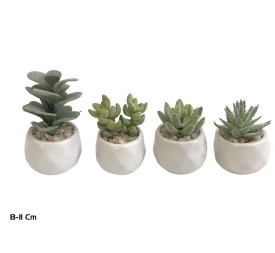 MACETA C- SUCULENTAS - FLOC  8 -11 CM (S)